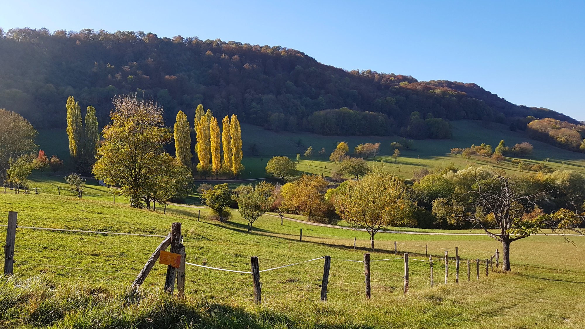 Wandern im Neuffener Tal