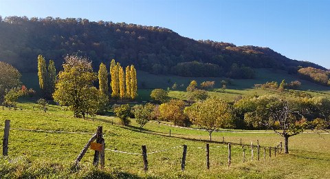 Wandern im Neuffener Tal