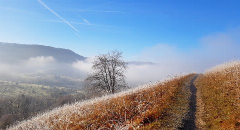 Wandern in Neuffen am Fuß der Schwäbischen Alb