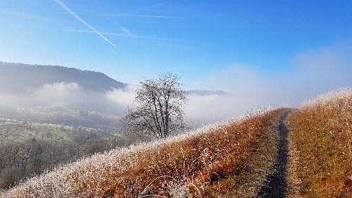 Wandern in Neuffen am Fuß der Schwäbischen Alb