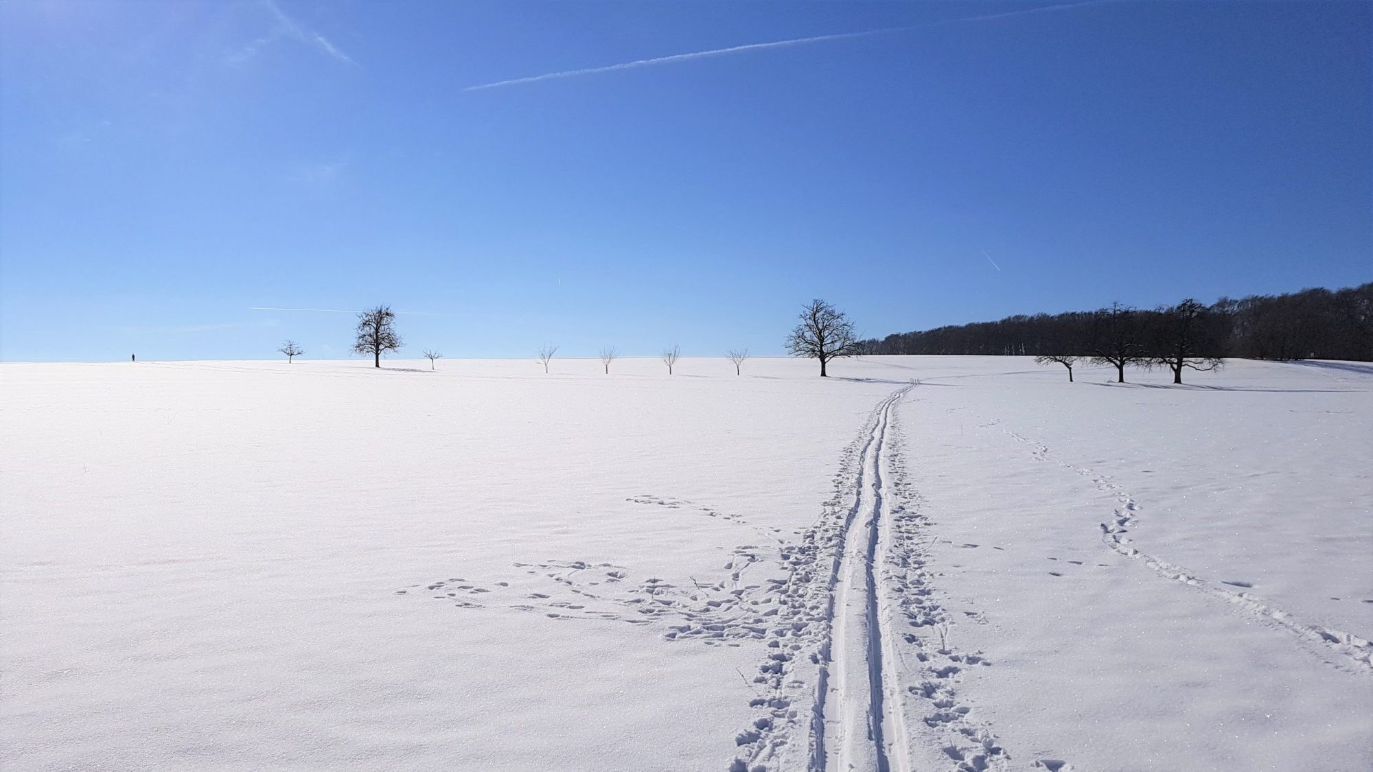 Winter Schwäbsiche Alb