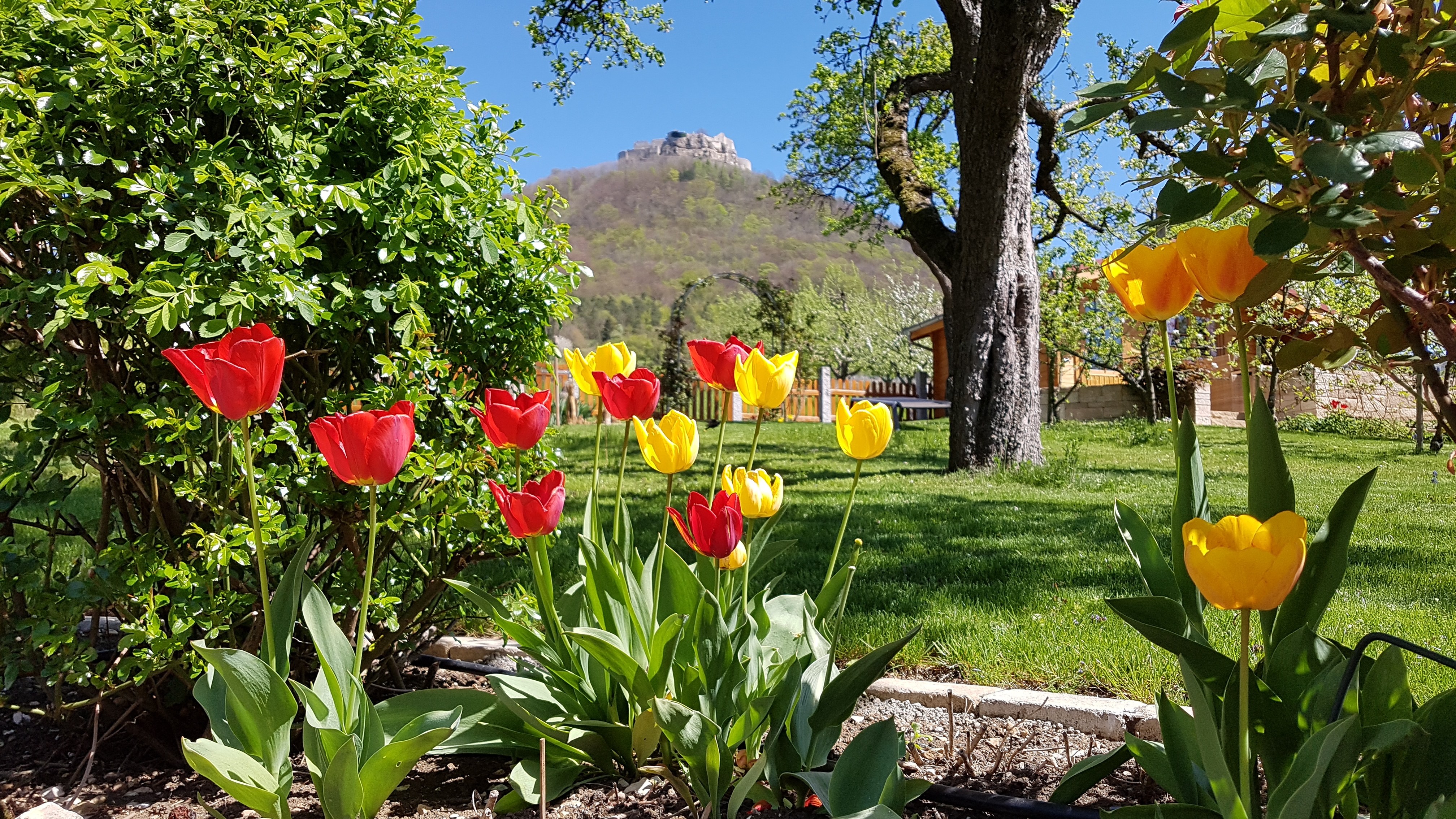 Garten in Neuffen
