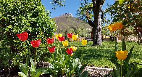 Garten in Neuffen
