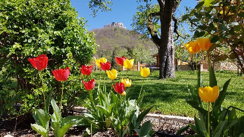 Garten in Neuffen