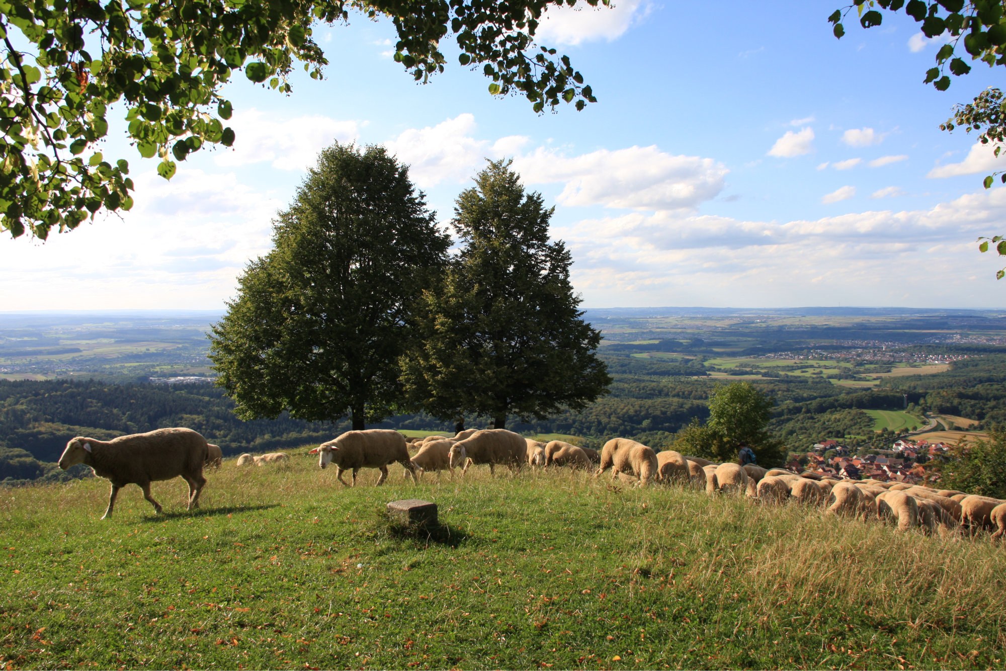 Wandern auf den Jusiberg Schwäbische Alb