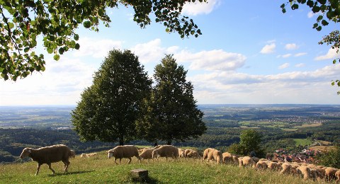 Wandern auf den Jusiberg Schwäbische Alb