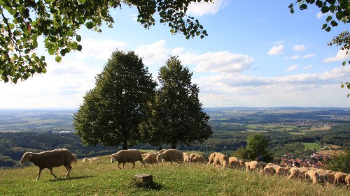 Wandern auf den Jusiberg Schwäbische Alb
